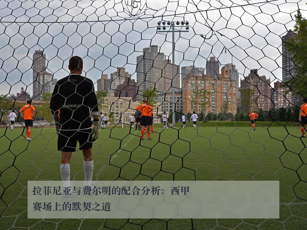 拉菲尼亚与费尔明的配合分析:西甲赛场上的默契之道